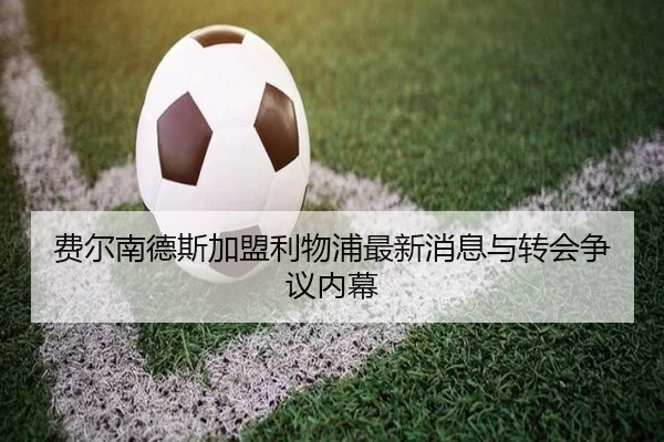 费尔南德斯加盟利物浦最新消息与转会争议内幕
