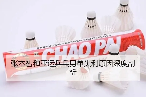 张本智和亚运乒乓男单失利原因深度剖析
